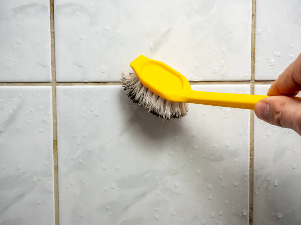 Best Local Mold Removal Service  in Dimondale, MI