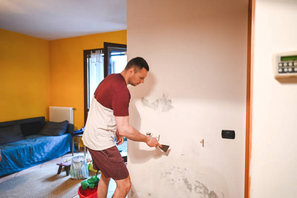 Best Black Mold Removal  in Dimondale, MI
